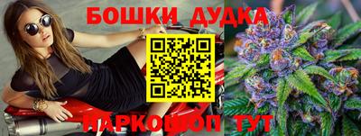 индика Беслан