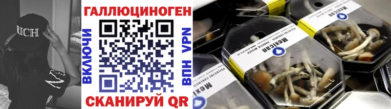 Галлюциногенные грибы Psilocybe  закладки  Дубна 