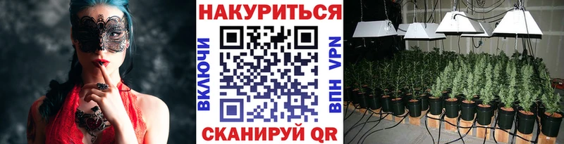Бошки марихуана планчик  Дубна 